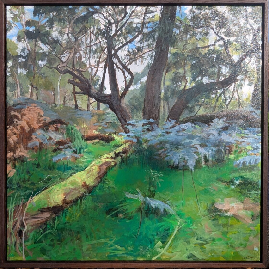 Bracken Dreams