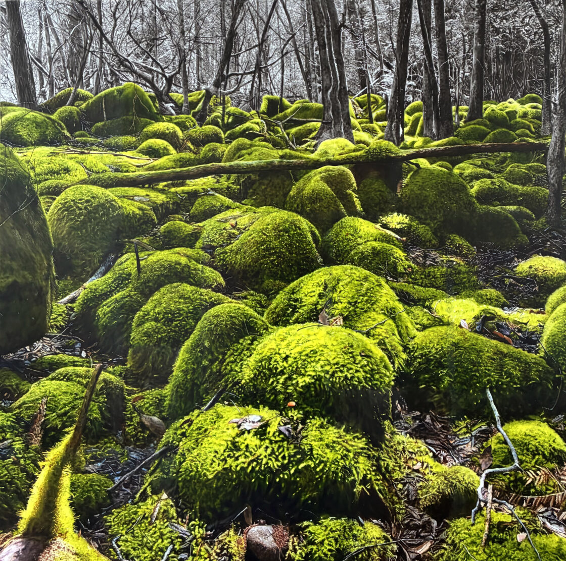 Where Green Gathers