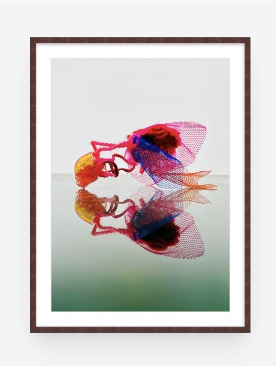 "Reflecting on how my ancestors sometimes visit me as insects".