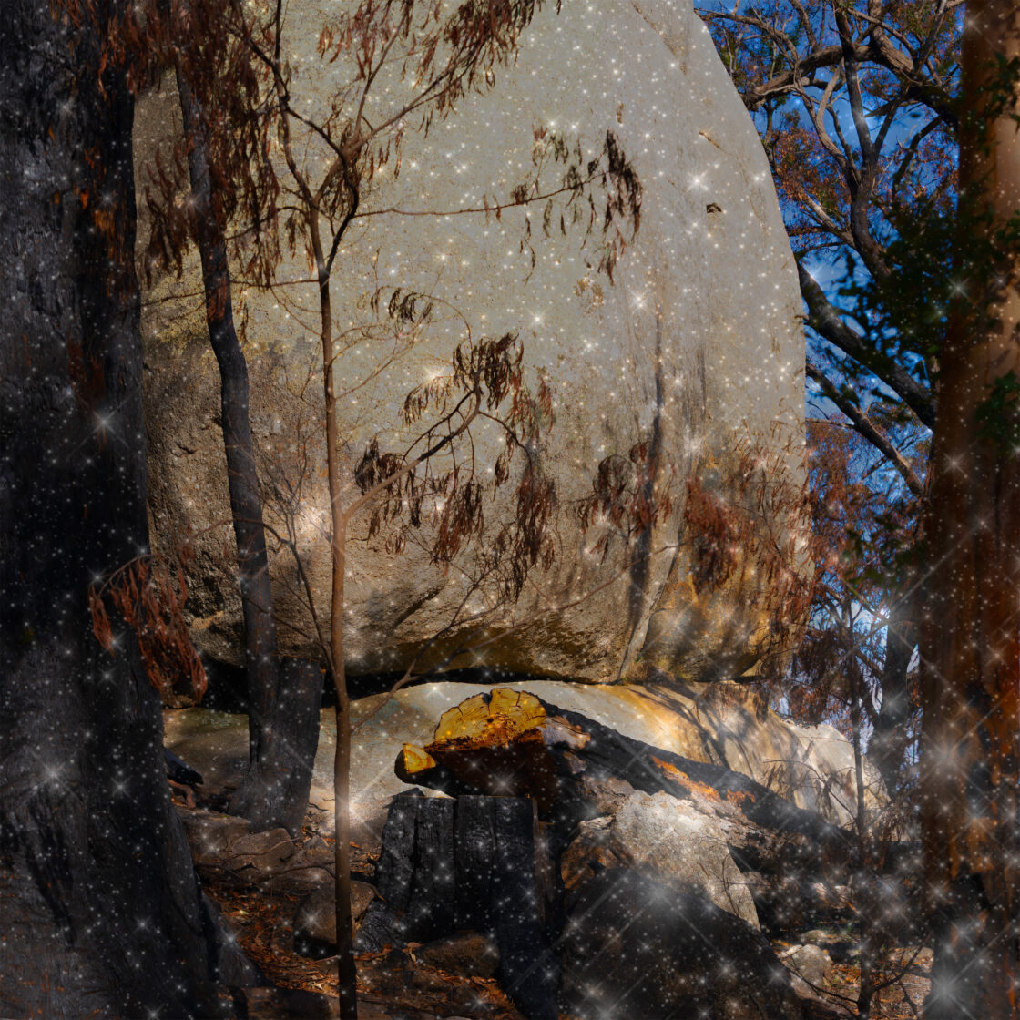 Remains to be Seen - Leanganook after the Fires