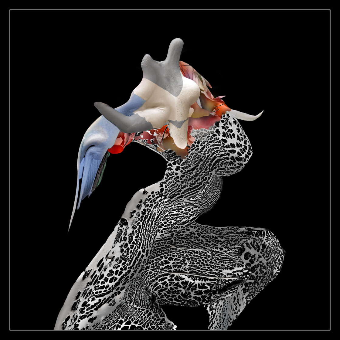 Metamorphosis